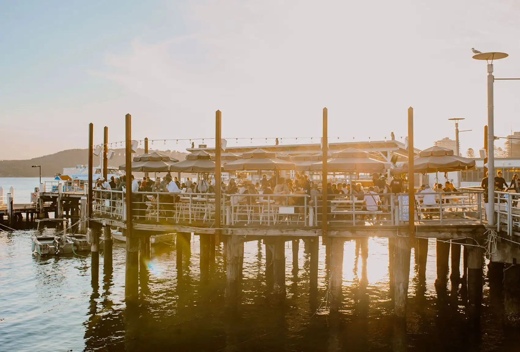 Sunset drinks on the Manly Wharf deck