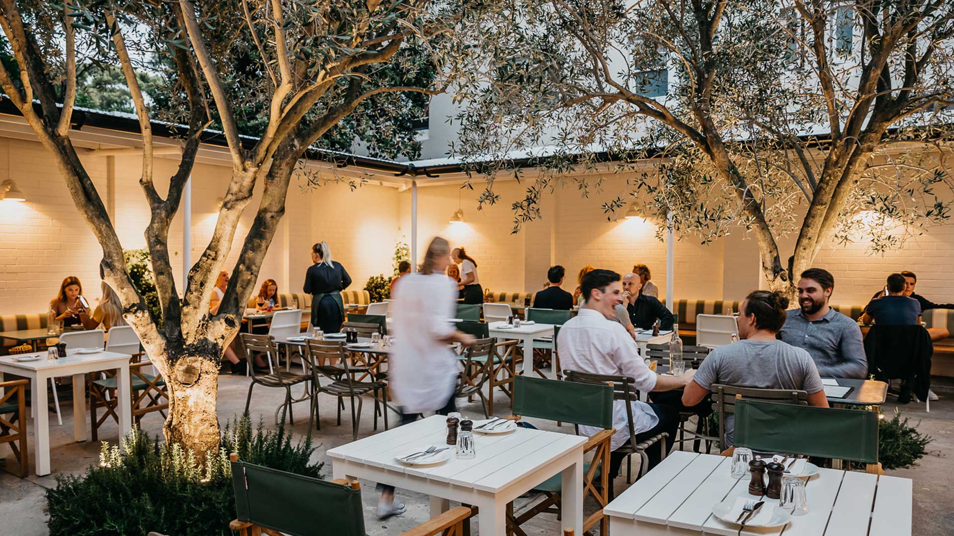 Bondi courtyard restaurant